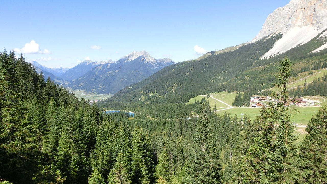 Bild vergr&ouml;ssern