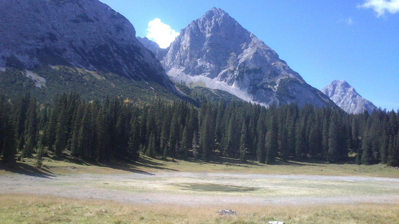 Bild vergr&ouml;ssern