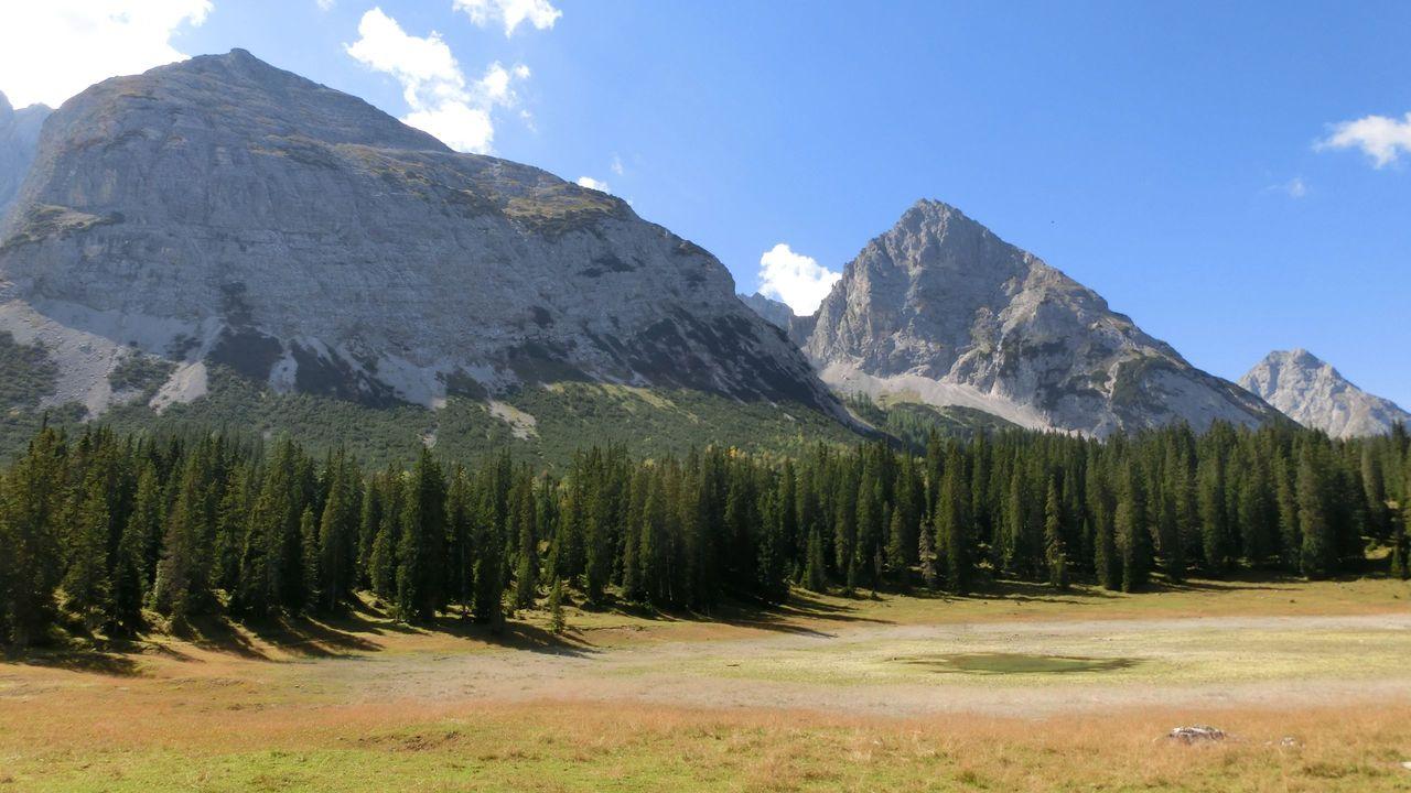 Bild vergr&ouml;ssern