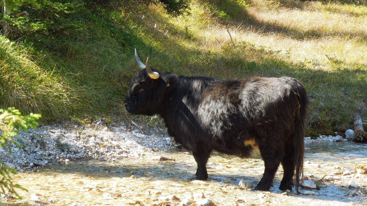 Bild vergr&ouml;ssern