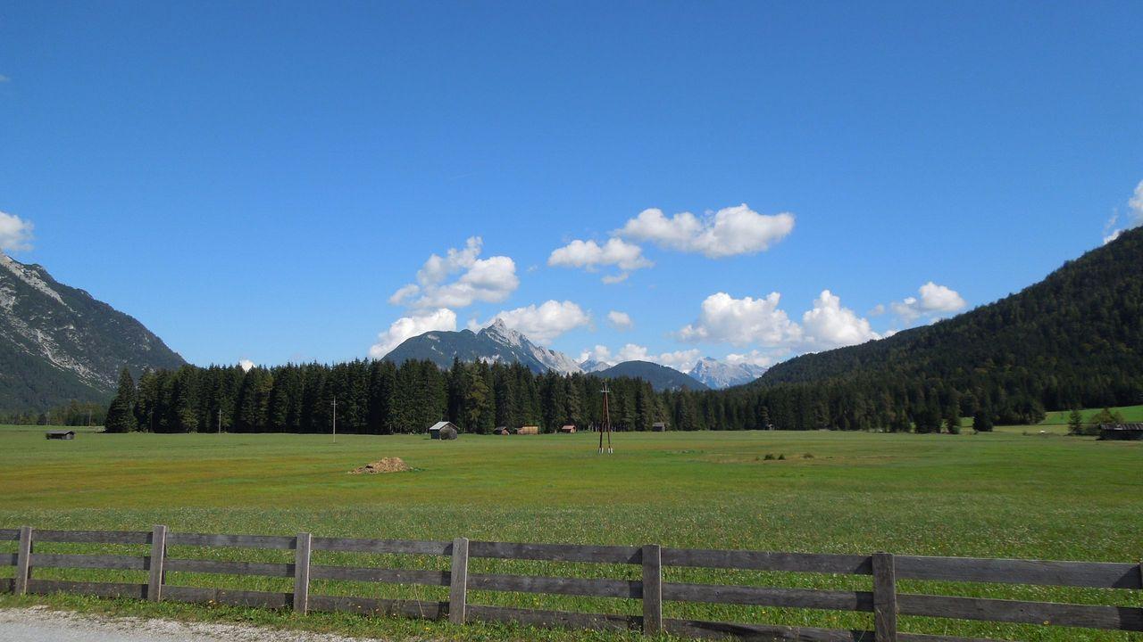 Bild vergr&ouml;ssern