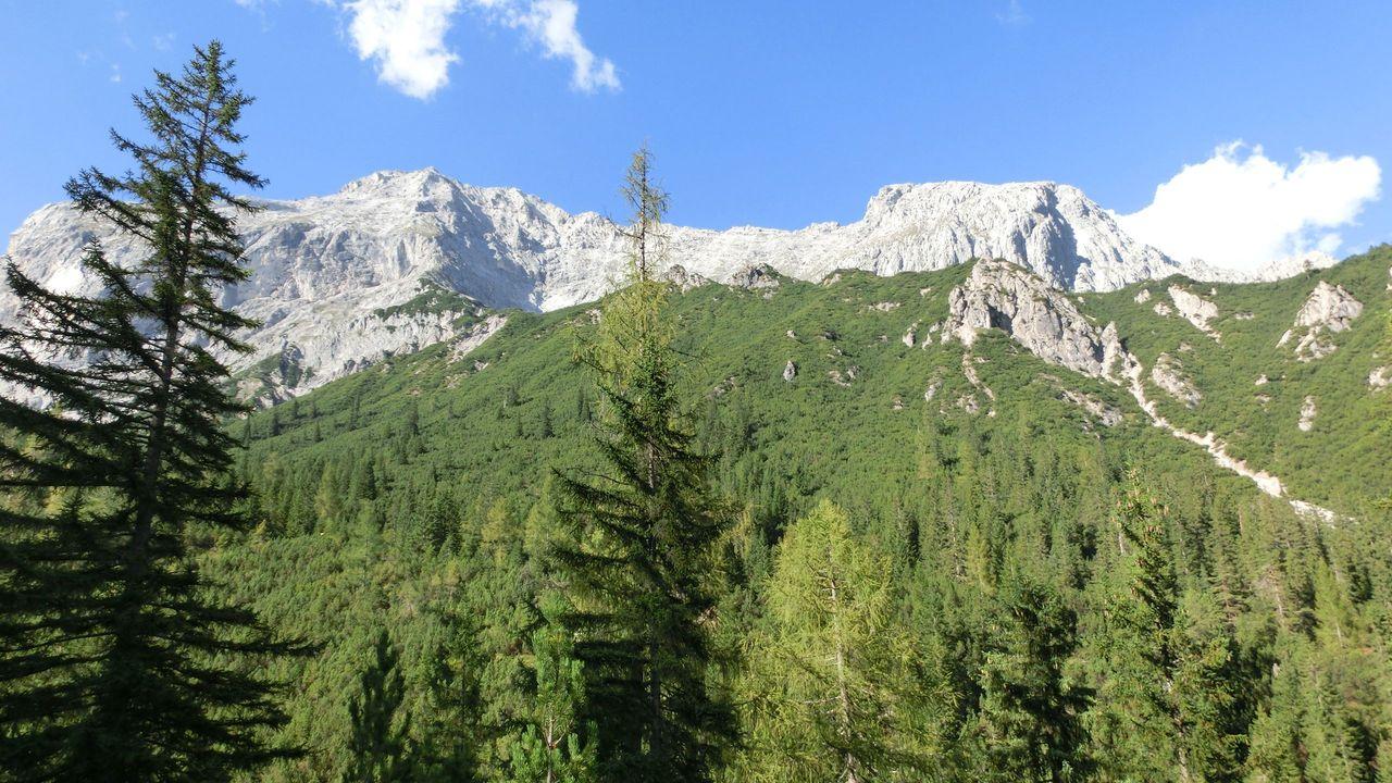 Bild vergr&ouml;ssern