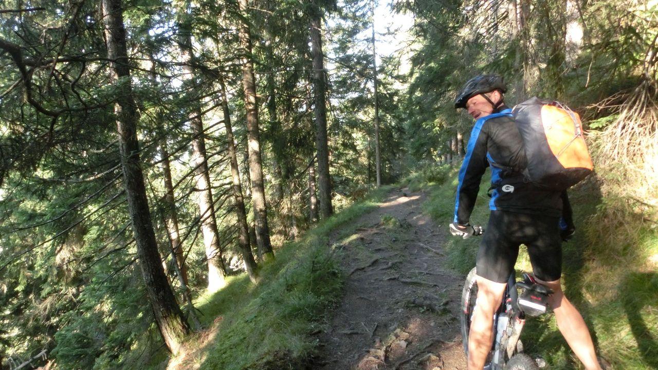 Bild vergr&ouml;ssern