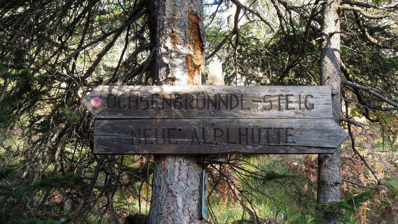 Bild vergr&ouml;ssern