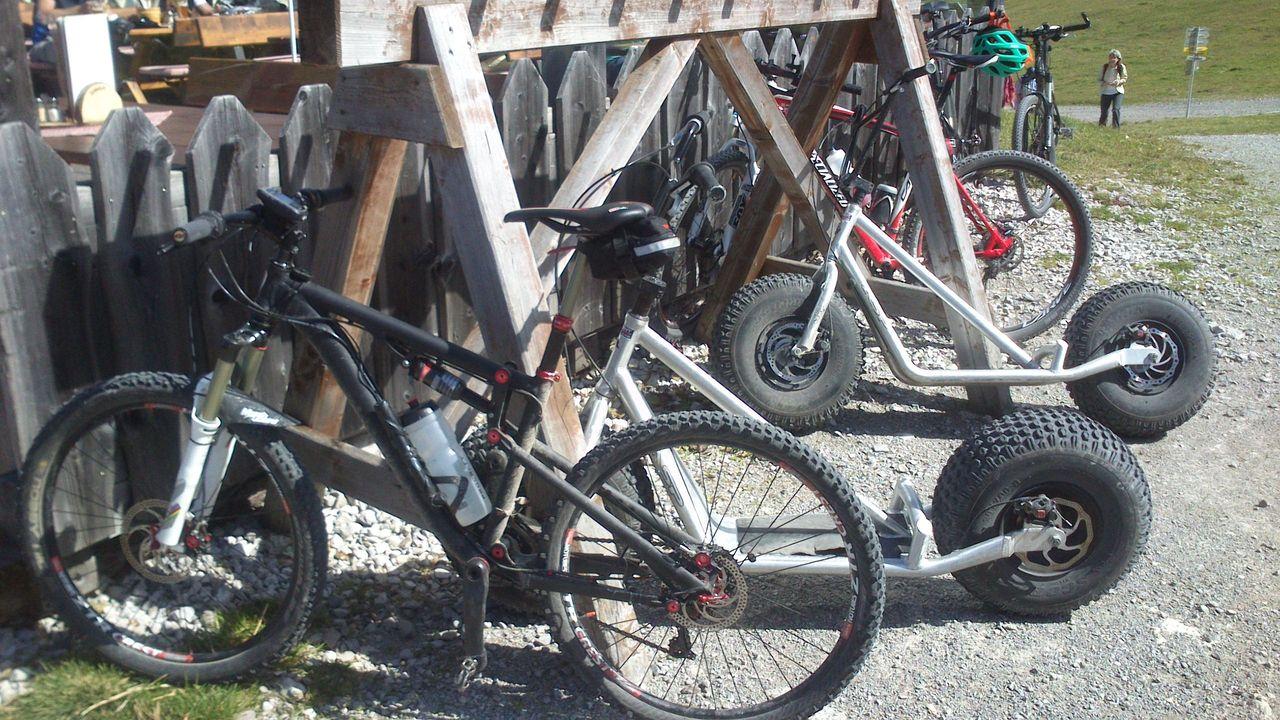 Bild vergr&ouml;ssern