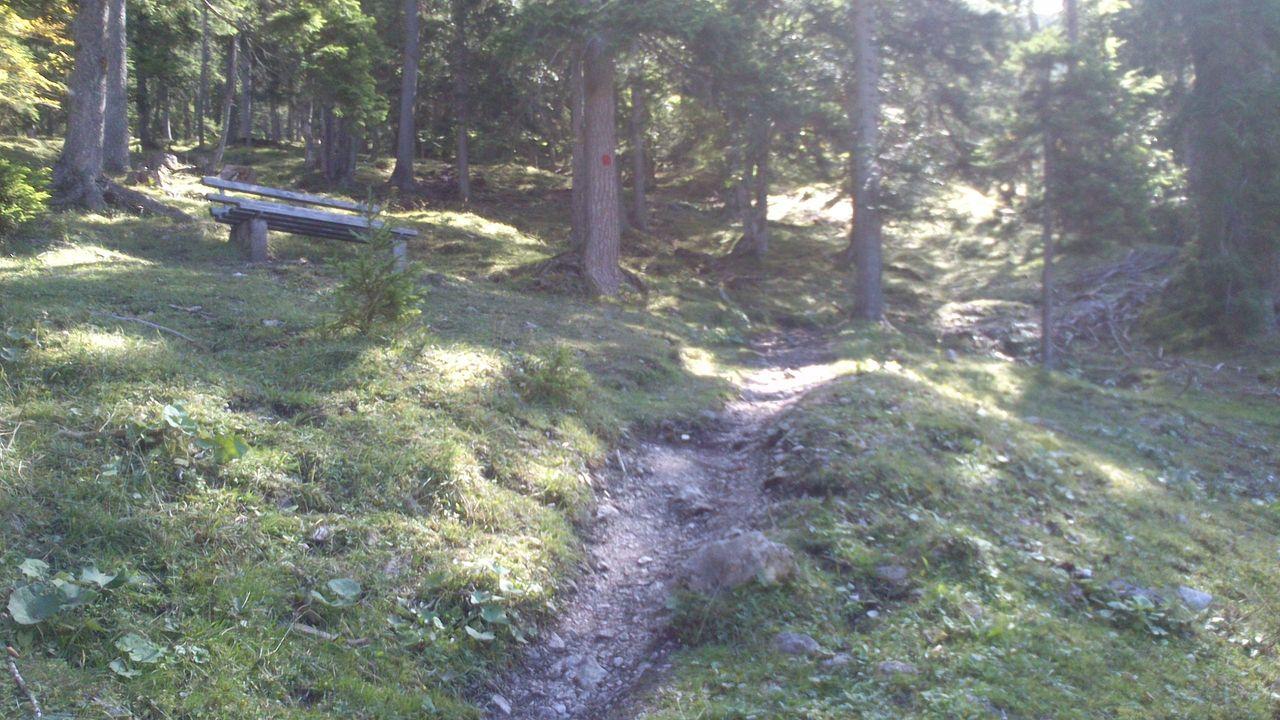 Bild vergr&ouml;ssern