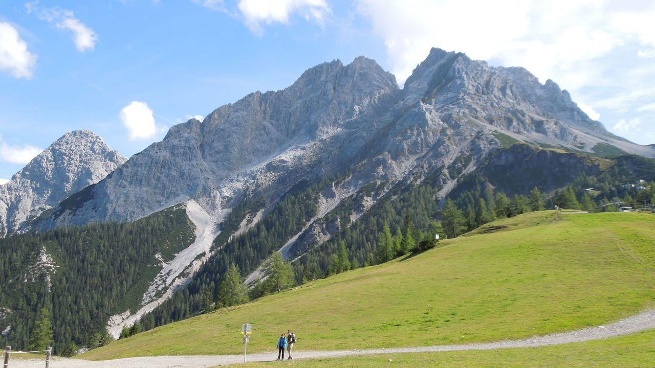 Bild vergr&ouml;ssern