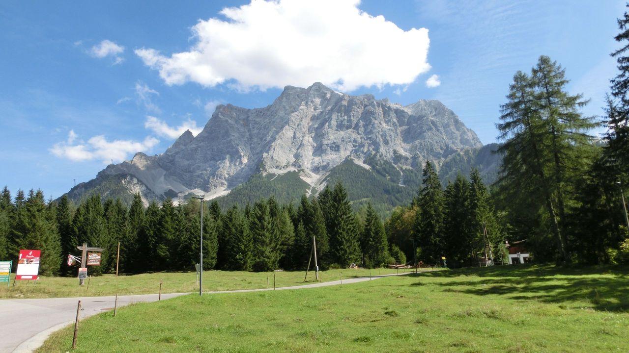 Bild vergr&ouml;ssern