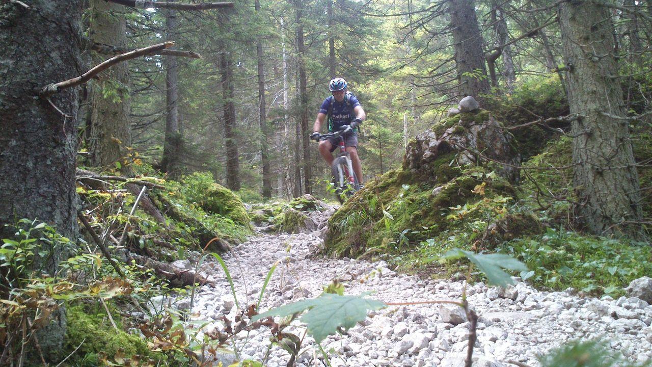 Bild vergr&ouml;ssern