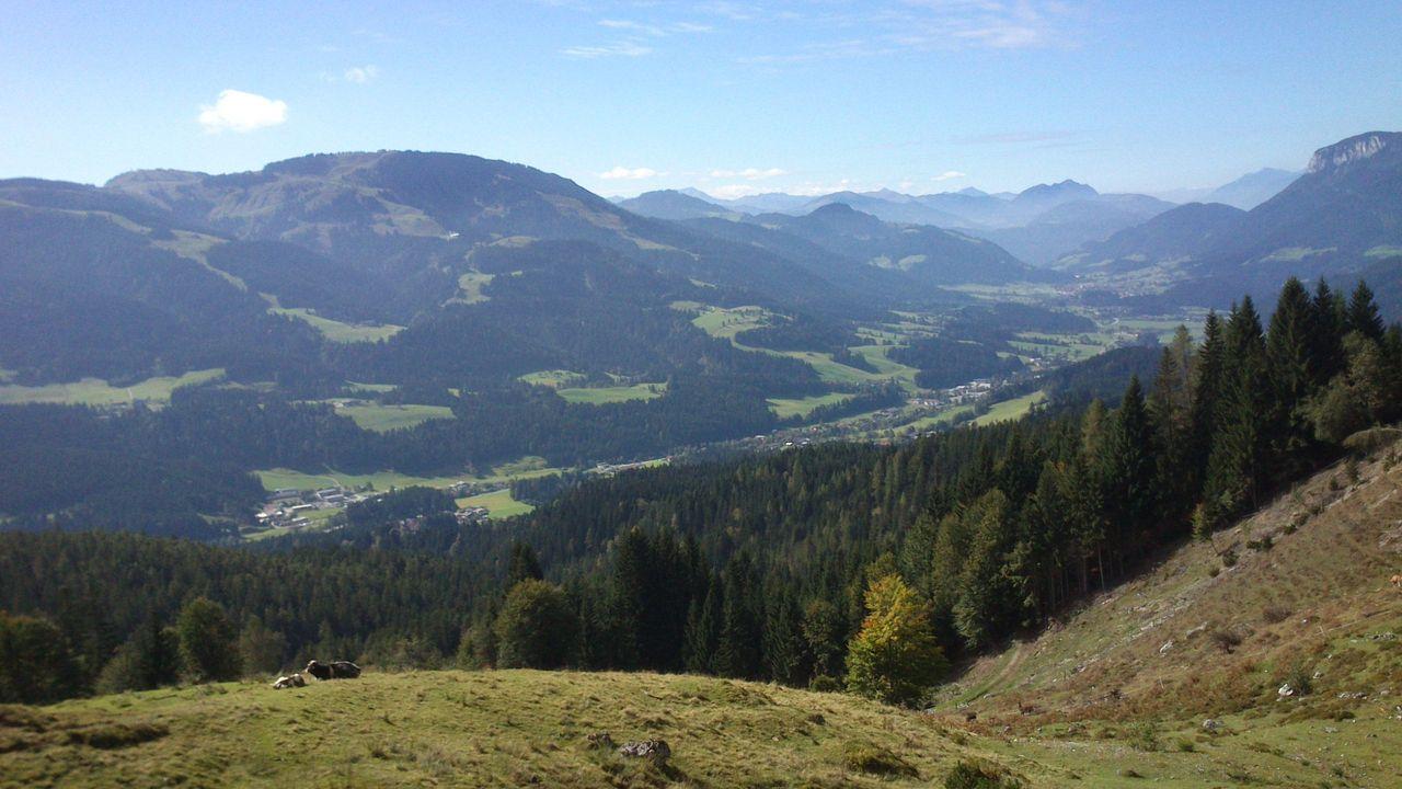 Bild vergr&ouml;ssern