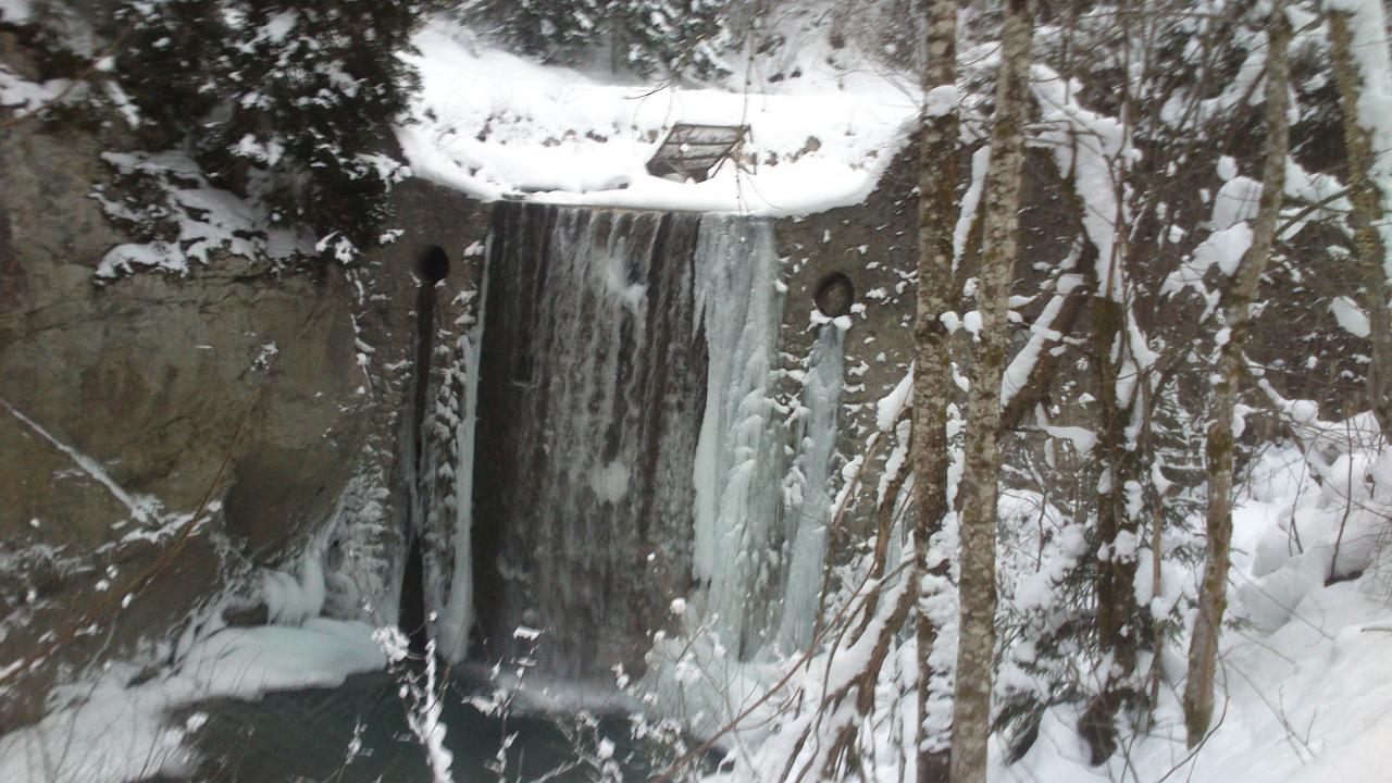 Bild vergr&ouml;ssern