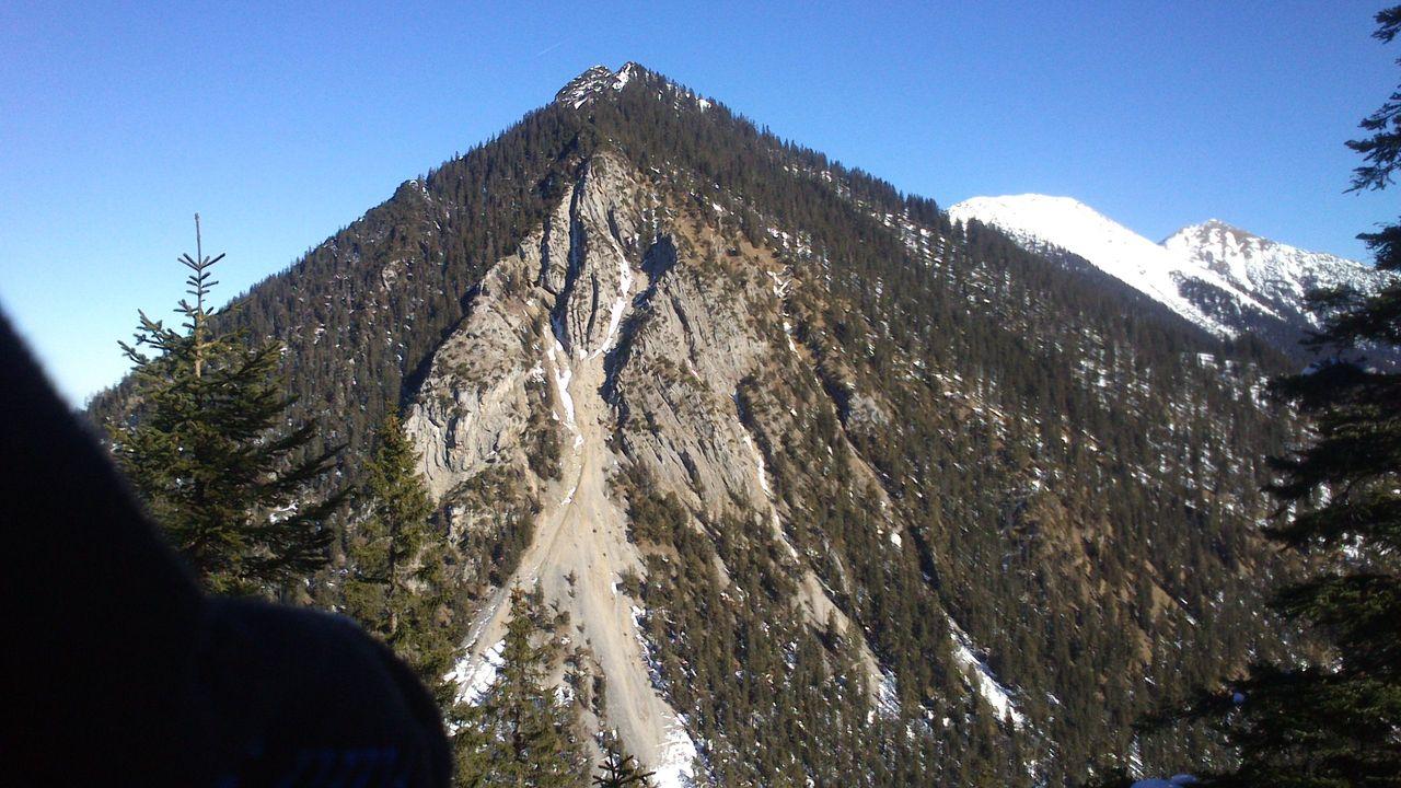 Bild vergr&ouml;ssern