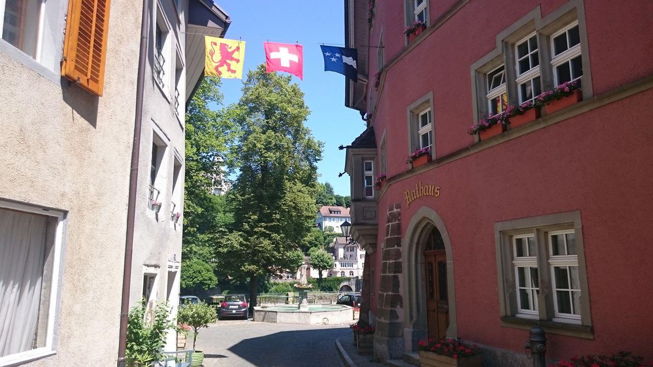 Bild vergr&ouml;ssern