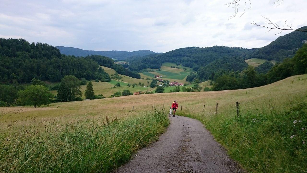 Bild vergr&ouml;ssern