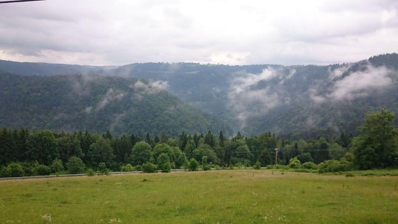 Bild vergr&ouml;ssern