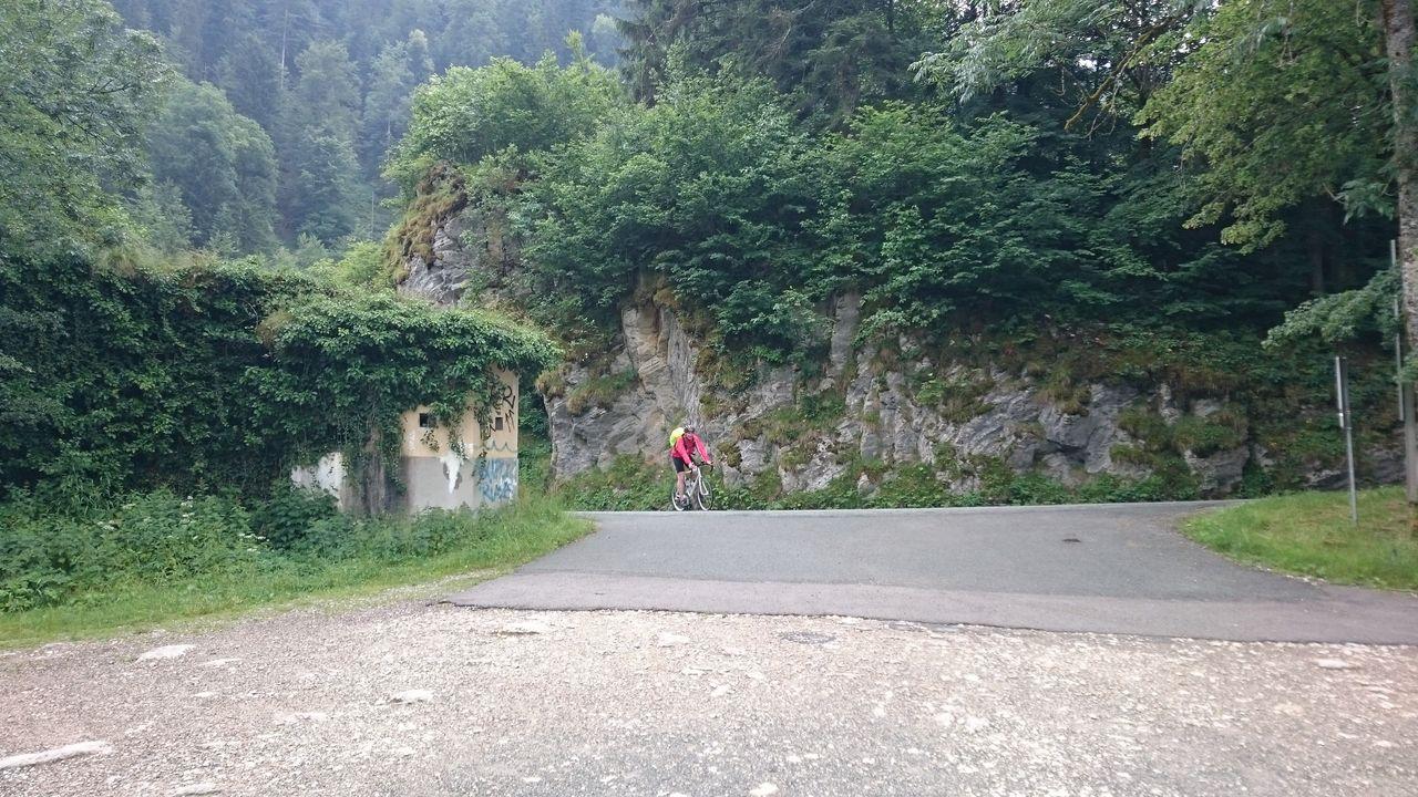 Bild vergr&ouml;ssern