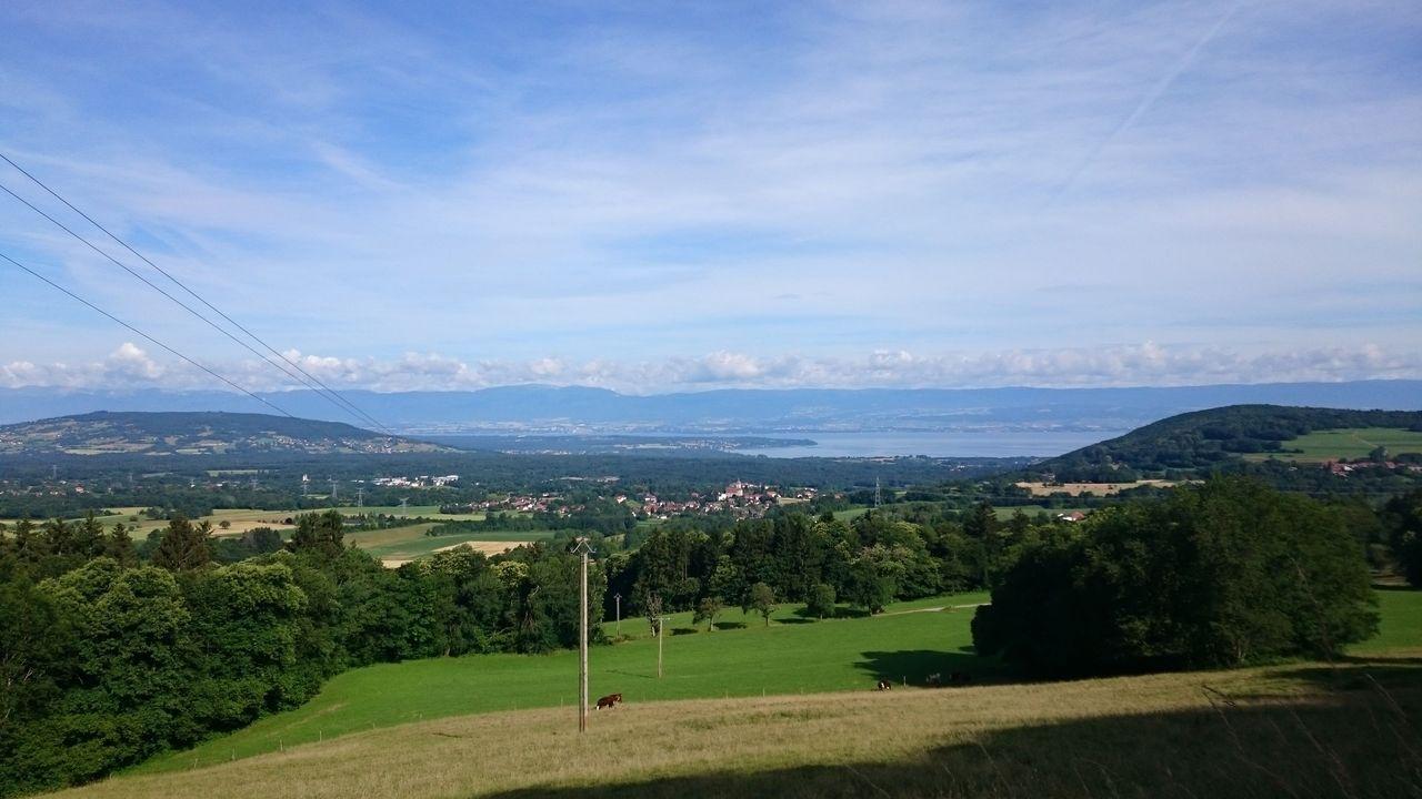 Bild vergr&ouml;ssern