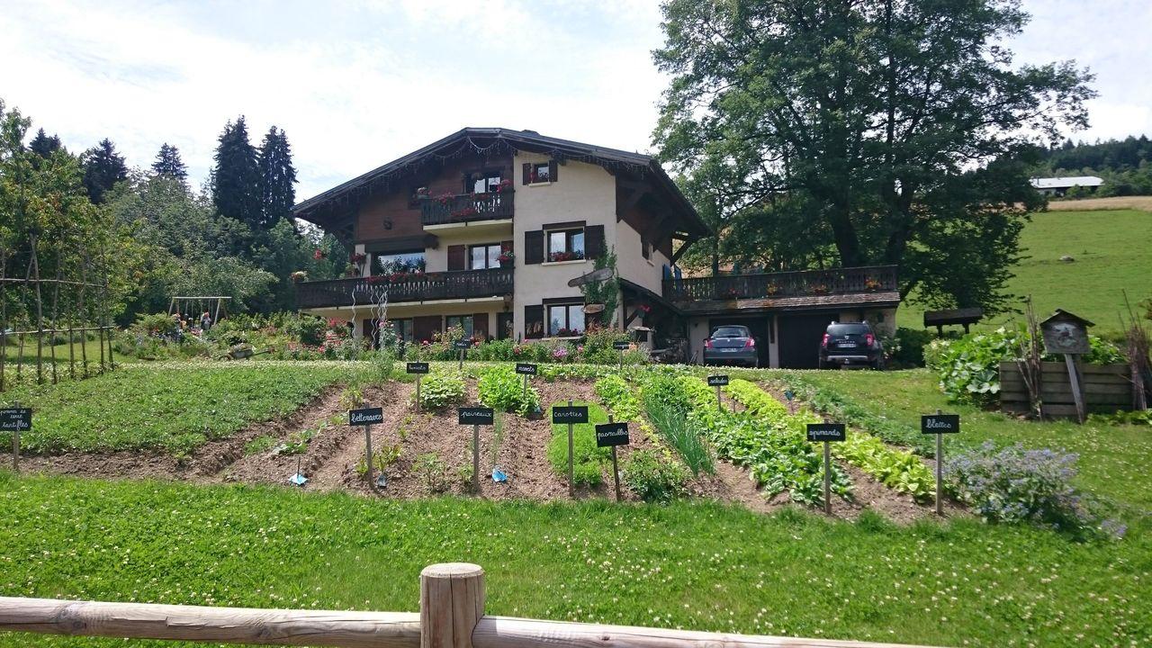 Bild vergr&ouml;ssern