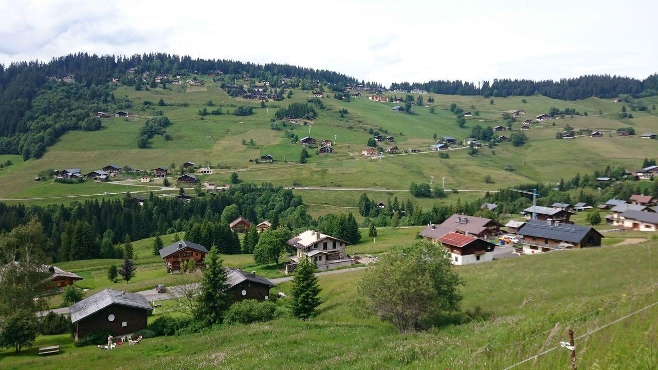 Bild vergr&ouml;ssern