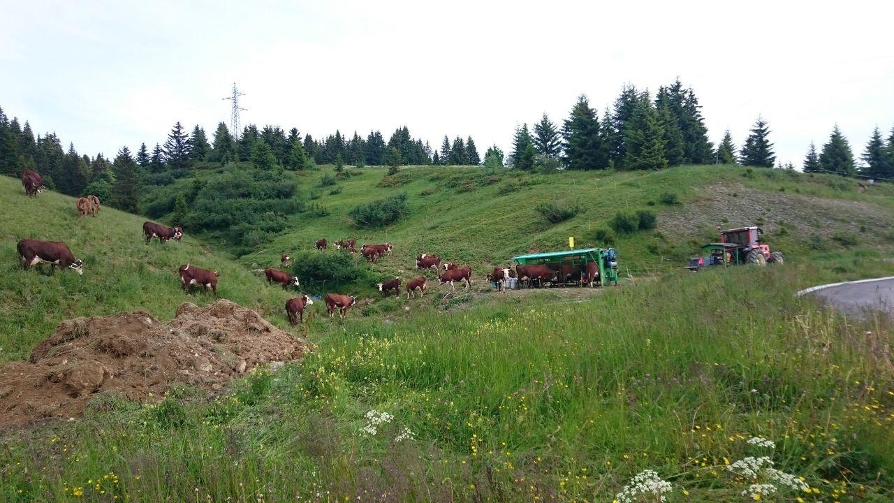 Bild vergr&ouml;ssern