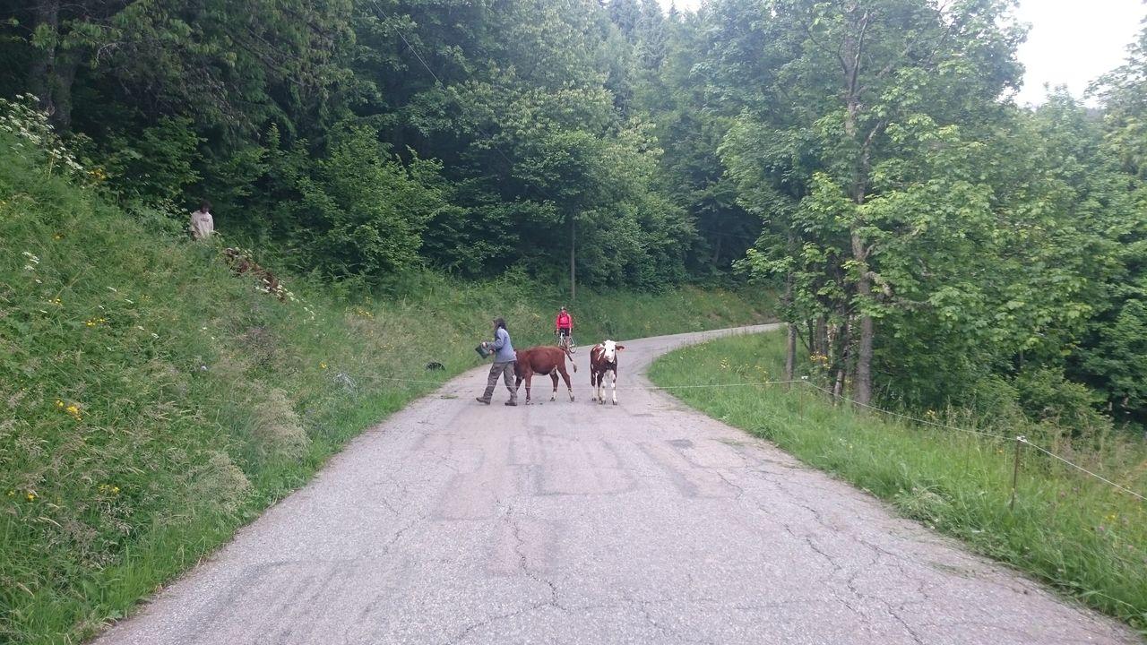 Bild vergr&ouml;ssern