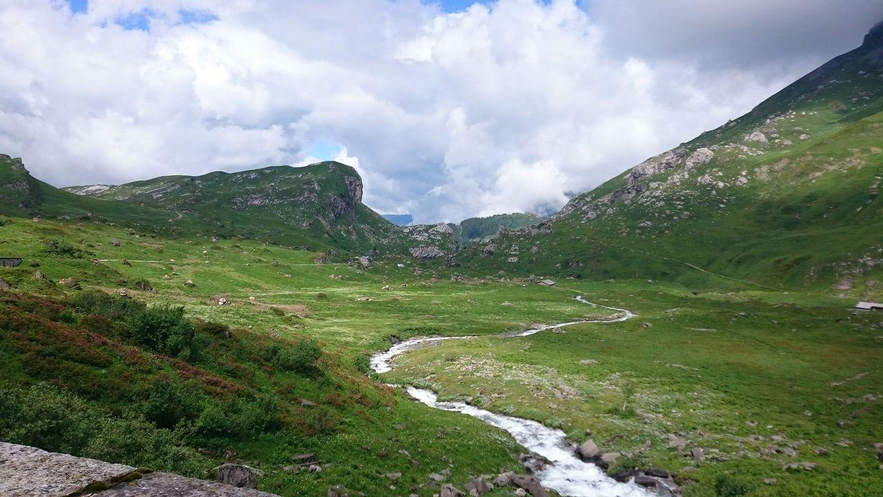 Bild vergr&ouml;ssern