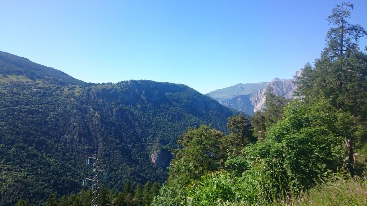 Bild vergr&ouml;ssern