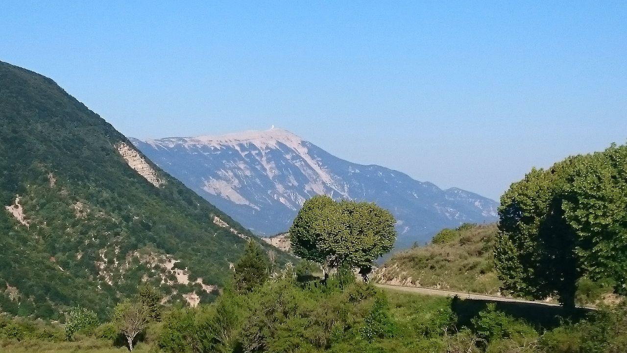 Bild vergr&ouml;ssern