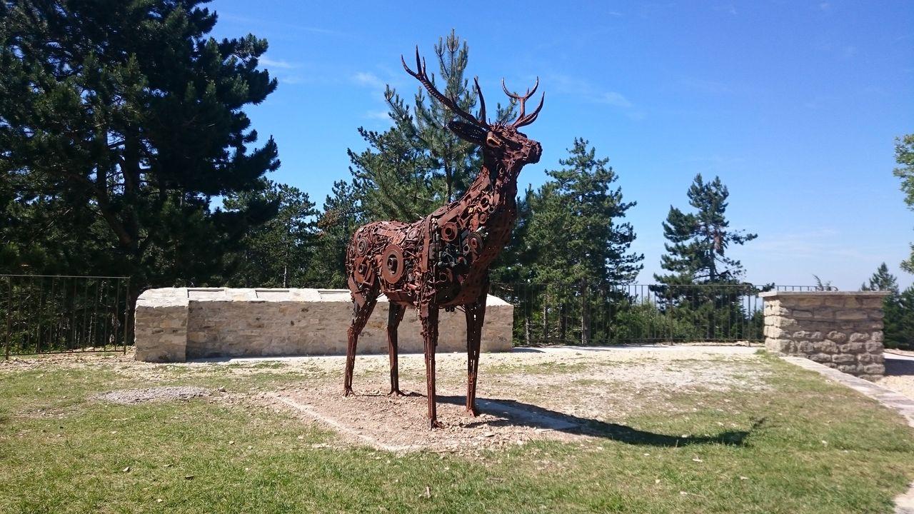 Bild vergr&ouml;ssern