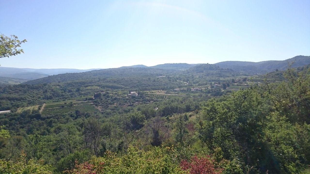 Bild vergr&ouml;ssern