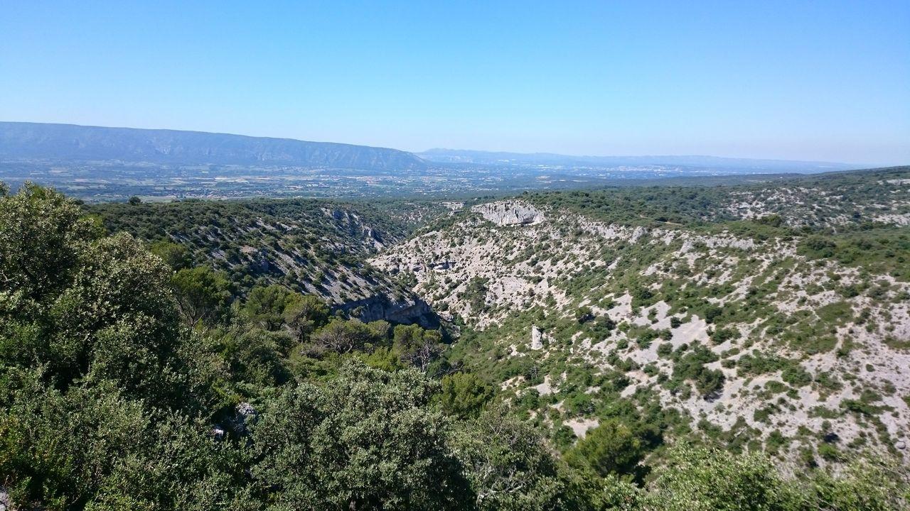 Bild vergr&ouml;ssern