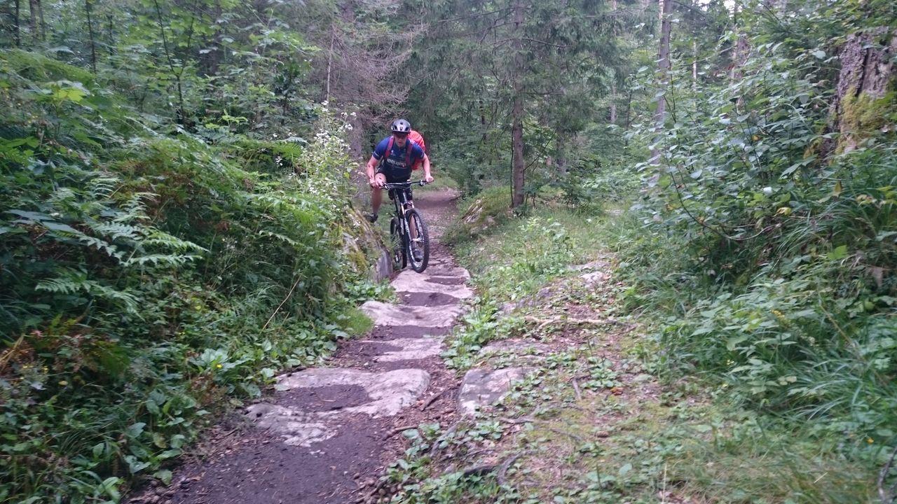 Bild vergr&ouml;ssern