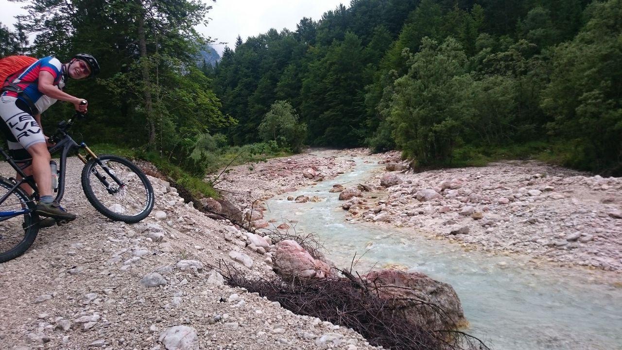 Bild vergr&ouml;ssern