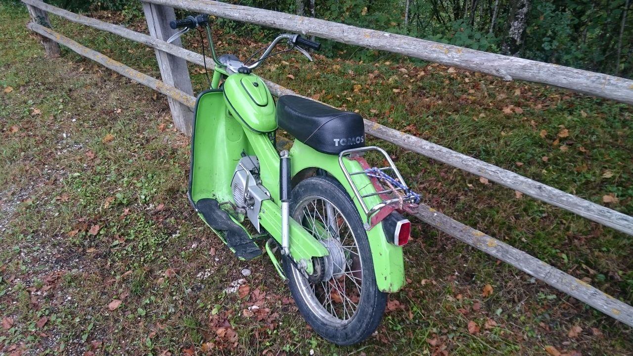 Bild vergr&ouml;ssern