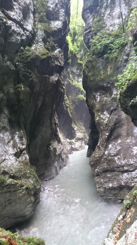 Bild vergr&ouml;ssern