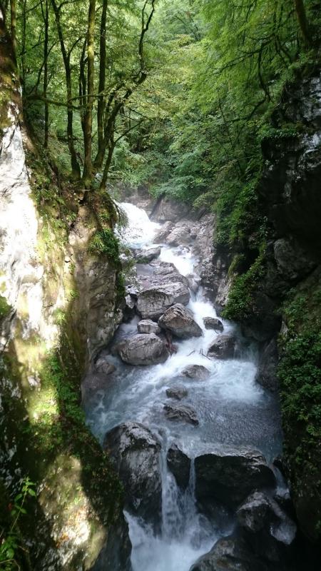 Bild vergr&ouml;ssern