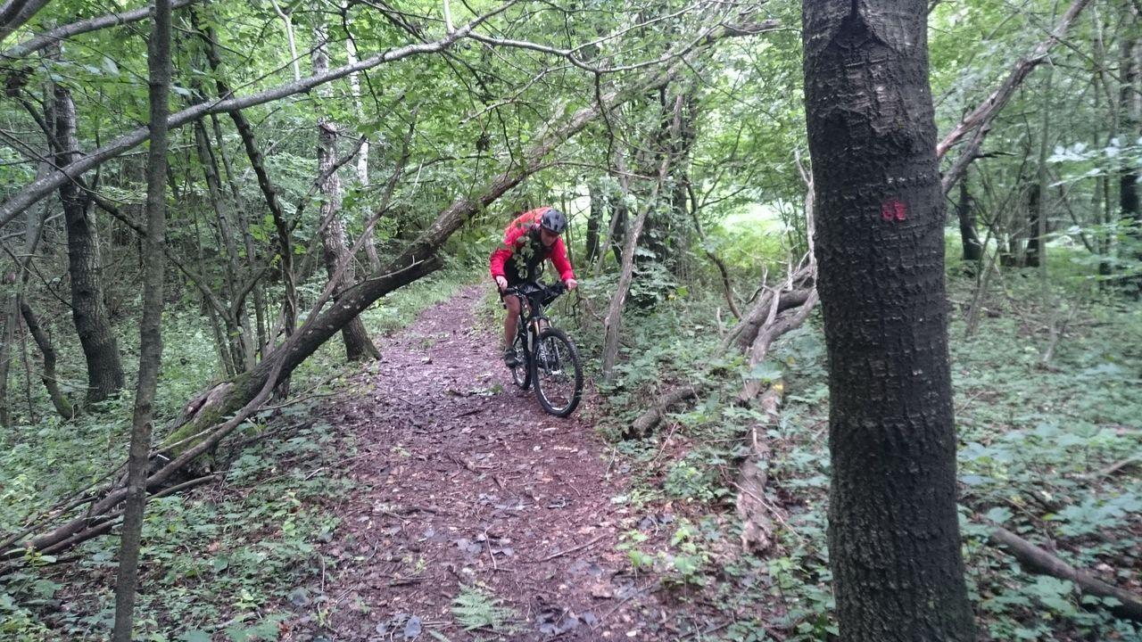 Bild vergr&ouml;ssern