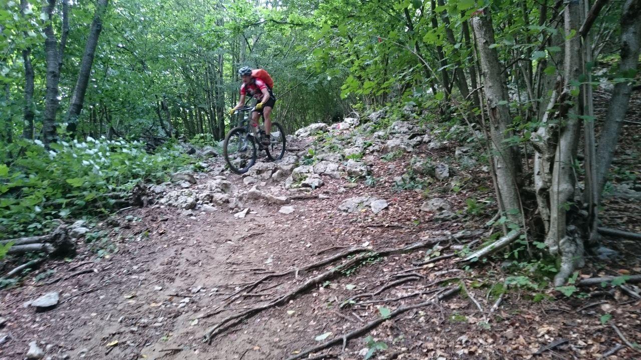 Bild vergr&ouml;ssern