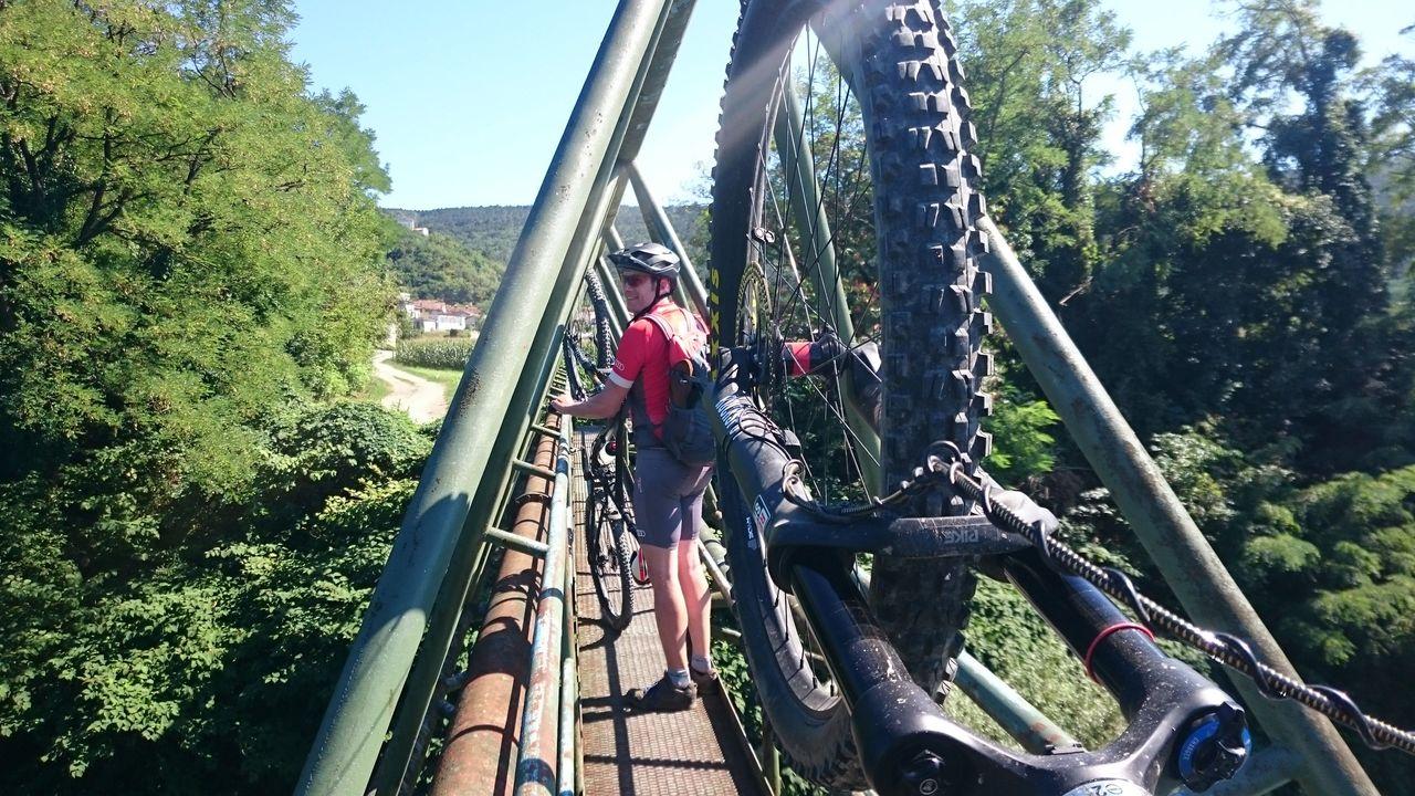 Bild vergr&ouml;ssern