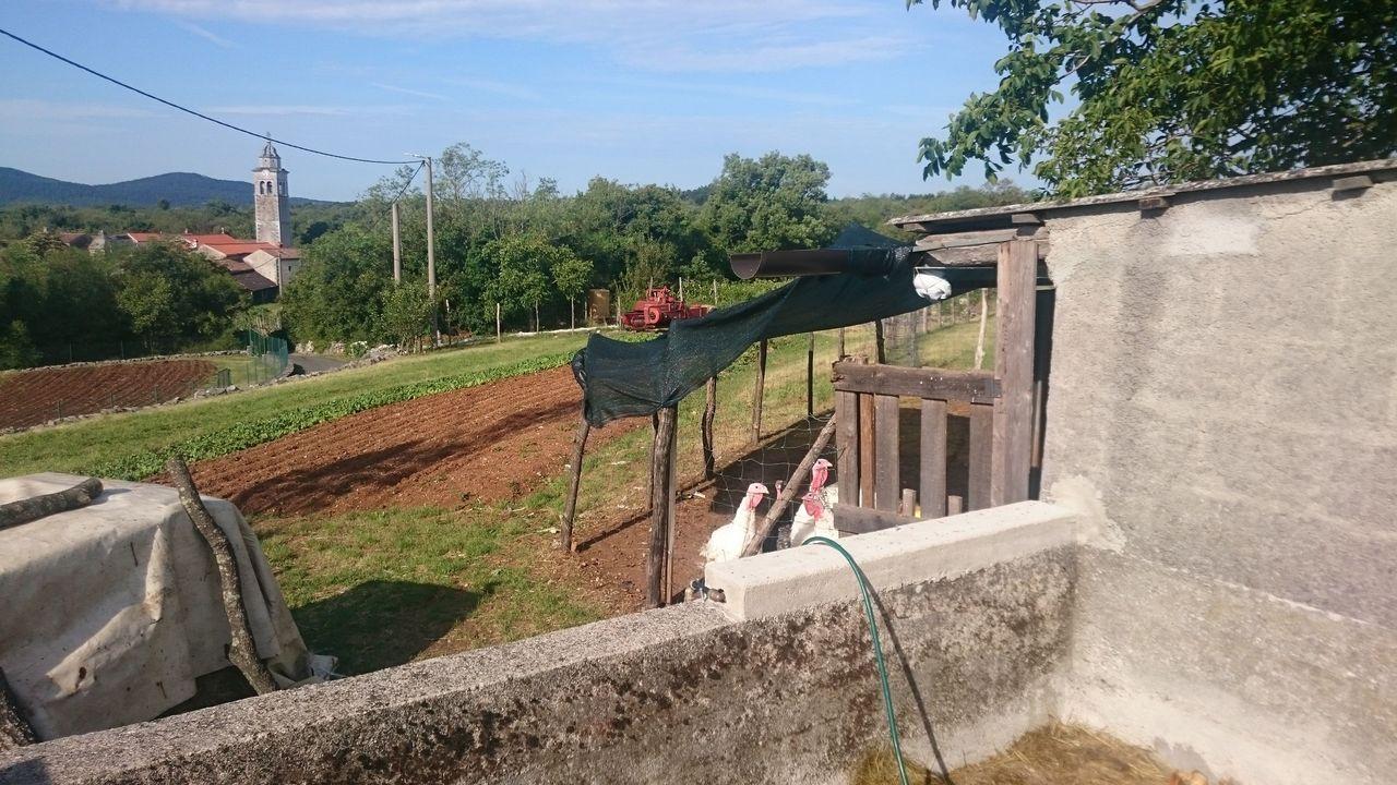 Bild vergr&ouml;ssern