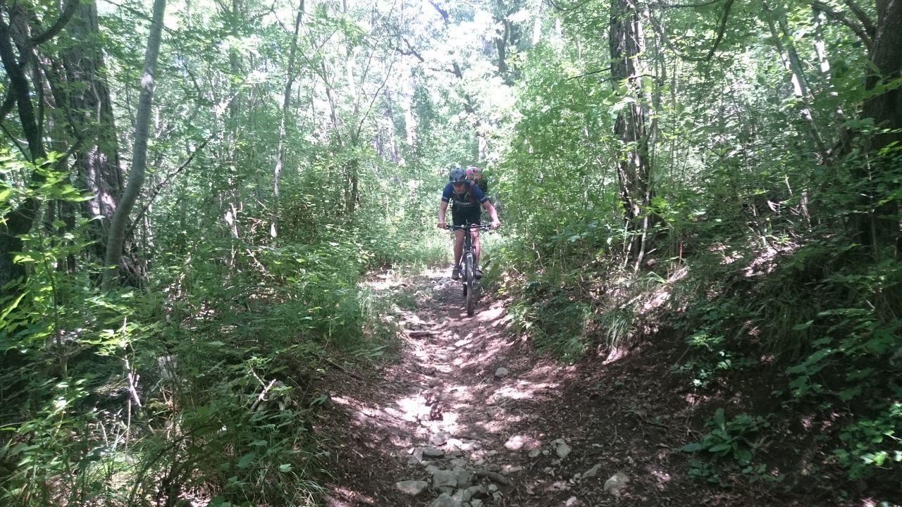 Bild vergr&ouml;ssern