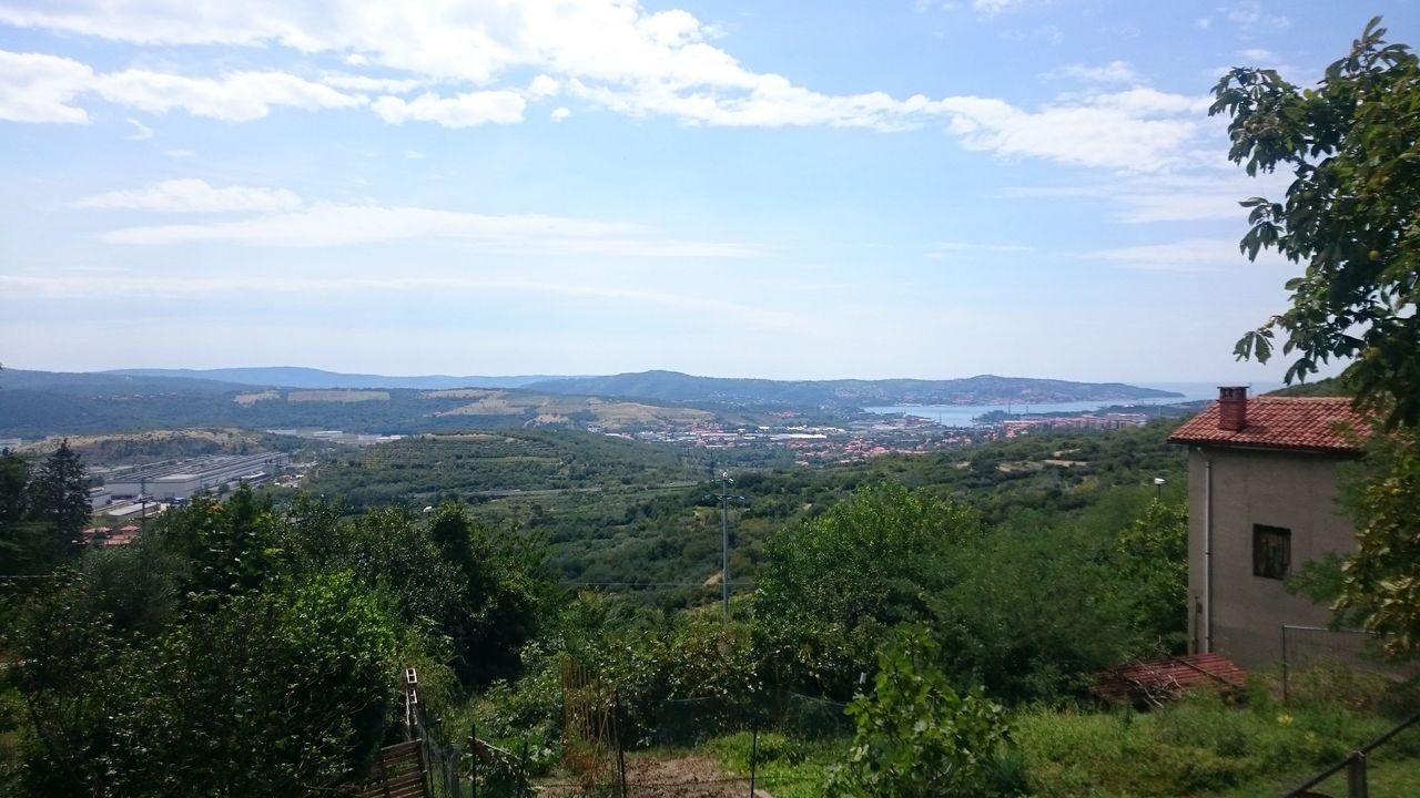 Bild vergr&ouml;ssern