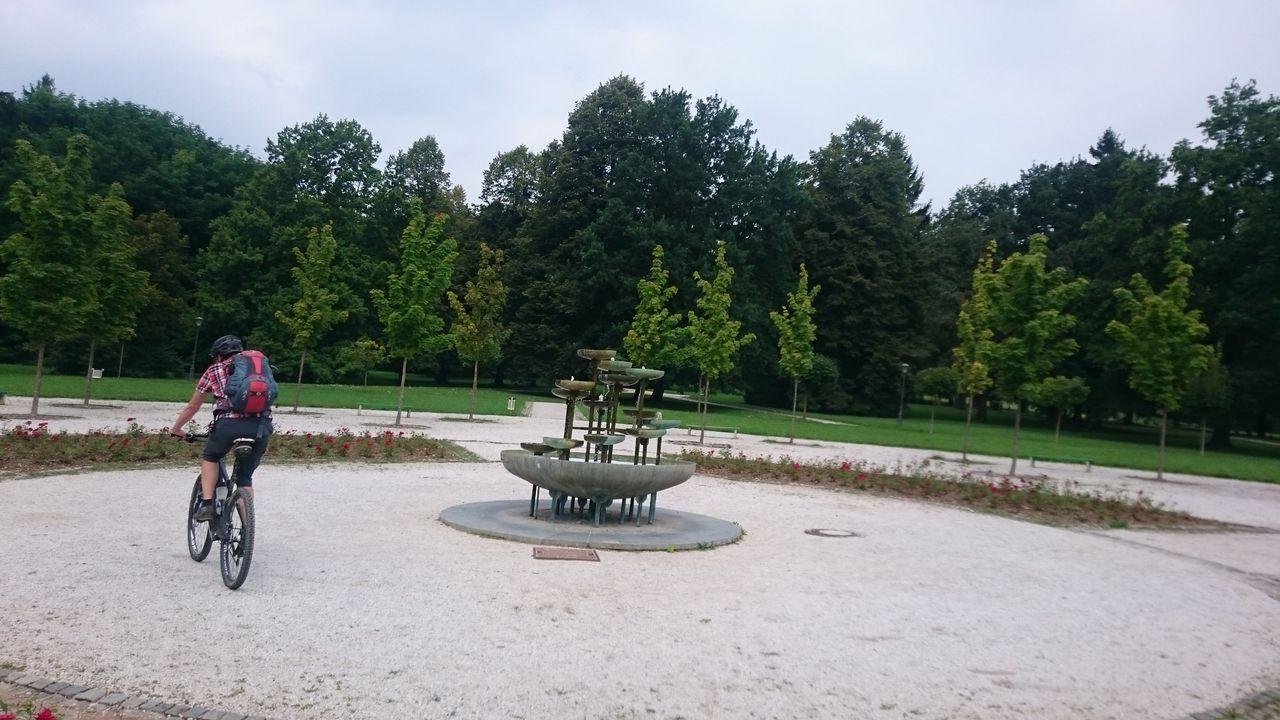 Bild vergr&ouml;ssern