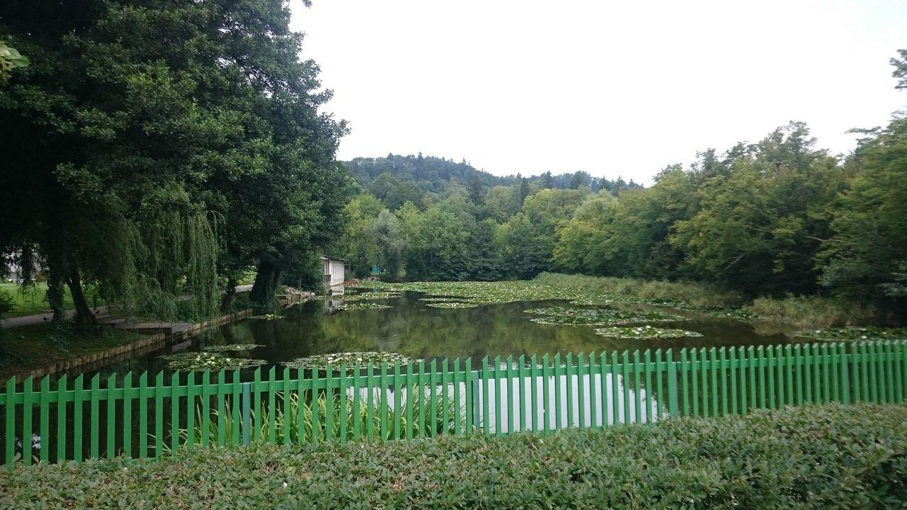 Bild vergr&ouml;ssern