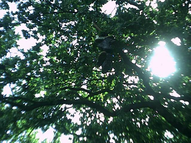 Bild vergr&ouml;ssern