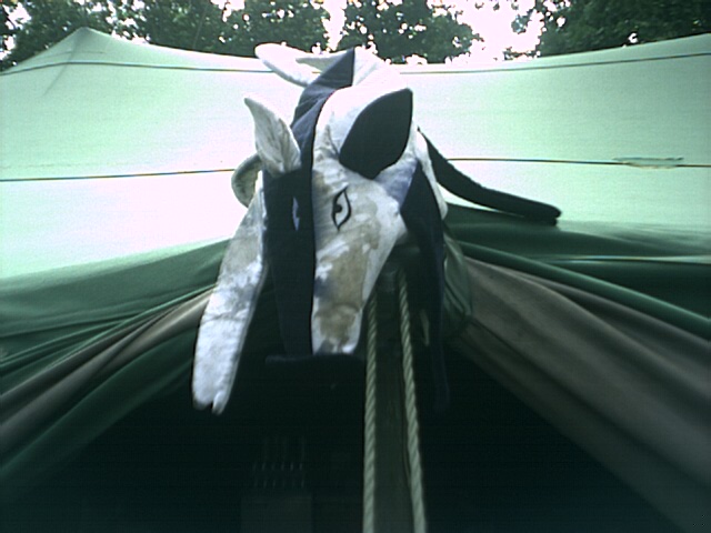 Bild vergr&ouml;ssern