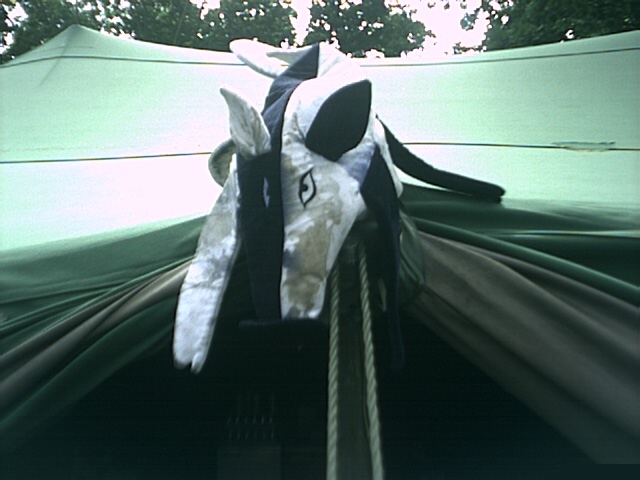 Bild vergr&ouml;ssern