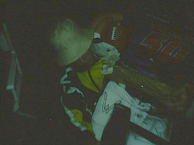 Bild vergr&ouml;ssern